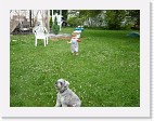 DSC04408 * 2048 x 1536 * (1.44MB)