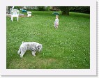 DSC04415 * 2048 x 1536 * (1.55MB)