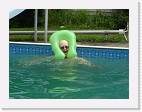 DSC04427 * 2048 x 1536 * (1.32MB)