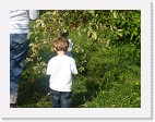 DSC04646 * 2048 x 1536 * (1.48MB)
