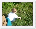DSC04651 * 2048 x 1536 * (1.46MB)