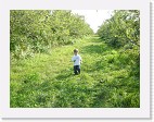 DSC04655 * 2048 x 1536 * (1.48MB)