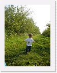 DSC04657 * 1536 x 2048 * (1.47MB)