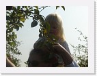 DSC04678 * 2048 x 1536 * (1.29MB)