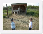 DSC04683 * 2048 x 1536 * (1.48MB)