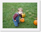DSC04745 * 2048 x 1536 * (1.55MB)