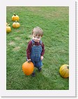 DSC04746 * 1536 x 2048 * (1.56MB)