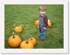 DSC04748 * 2048 x 1536 * (1.37MB)