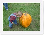 DSC04756 * 2048 x 1536 * (1.51MB)