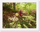 DSC04806 * 2048 x 1536 * (1.42MB)