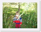 DSC04808 * 2048 x 1536 * (1.46MB)