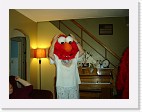 DSC04904 * 2048 x 1536 * (1.38MB)
