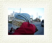DSC05243 * 2048 x 1536 * (1.15MB)