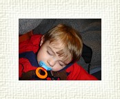 DSC05373 * 2048 x 1536 * (1.31MB)