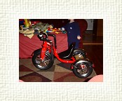 DSC05374 * 2048 x 1536 * (1.33MB)