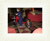 DSC05377 * 2048 x 1536 * (1.44MB)