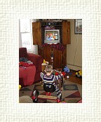DSC05466 * 1536 x 2048 * (1.39MB)