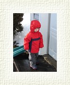 DSC05495 * 1536 x 2048 * (1.54MB)