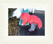 DSC05497 * 2048 x 1536 * (1.44MB)
