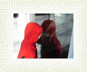 DSC05498 * 2048 x 1536 * (1.14MB)