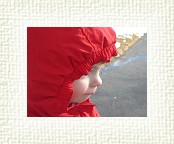 DSC05499 * 2048 x 1536 * (1.26MB)
