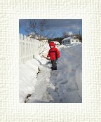 DSC05501 * 1536 x 2048 * (1.33MB)