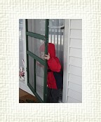 DSC05505 * 1536 x 2048 * (1.24MB)
