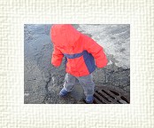 DSC05513 * 2048 x 1536 * (1.43MB)