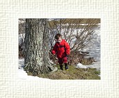DSC05660 * 2304 x 1728 * (1.85MB)