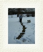 DSC05717 * 1536 x 2048 * (1.33MB)