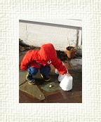 DSC05721 * 1536 x 2048 * (1.43MB)