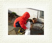 DSC05724 * 2048 x 1536 * (1.52MB)