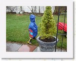 DSC05836 * 2048 x 1536 * (1.47MB)