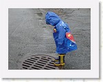 DSC05850 * 2048 x 1536 * (1.44MB)