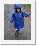 DSC05852 * 1536 x 2048 * (1.44MB)