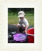 DSC06162 * 1536 x 2048 * (1.37MB)