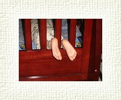 DSC06174 * 2048 x 1536 * (1.54MB)