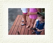 100_0893 * 2080 x 1544 * (492KB)