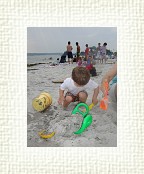 DSC06395 * 1536 x 2048 * (1.47MB)