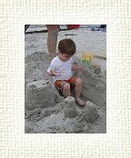 DSC06411 * 1536 x 2048 * (1.38MB)