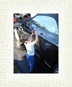 DSC06457 * 1536 x 2048 * (1.47MB)