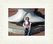 DSC06492 * 2048 x 1536 * (1.29MB)