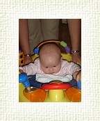 DSC06695 * 1536 x 2048 * (1.48MB)