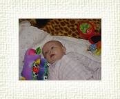 DSC06705 * 2048 x 1536 * (1.51MB)