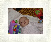 DSC06706 * 2048 x 1536 * (1.5MB)