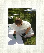 DSC06716 * 1536 x 2048 * (1.31MB)