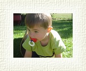 DSC06725 * 2048 x 1536 * (1.42MB)