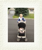 DSC06735 * 1536 x 2048 * (1.3MB)