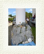DSC06783 * 1536 x 2048 * (1.44MB)