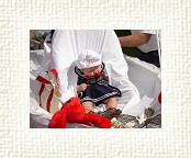 DSC06790 * 2048 x 1536 * (1.29MB)